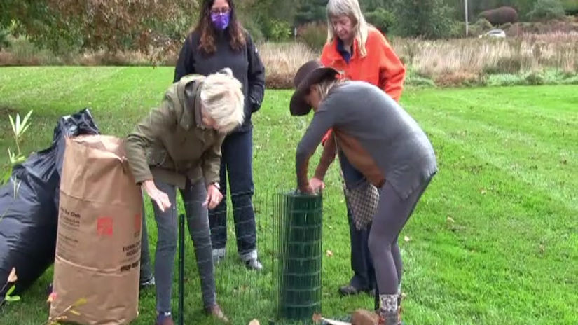Lasagna Method - Preparing Pollinator Pitstop Garden